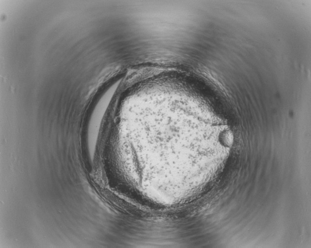 X0000088030738200706011349