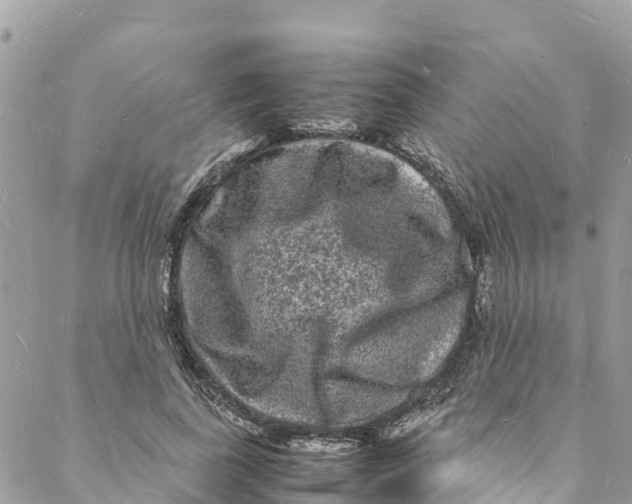 X0000088030739200706011349