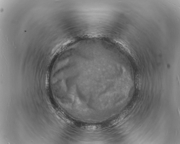 X0000088030740200706011349