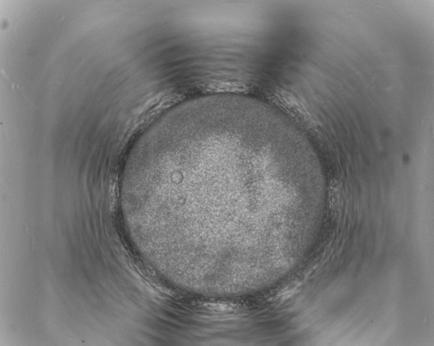 X0000088030741200706011349