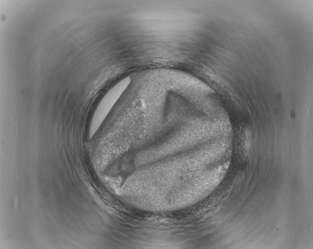 X0000088030742200706011349