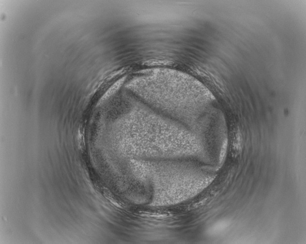 X0000088030743200706011349