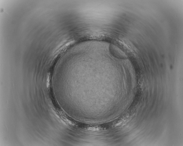 X0000088030744200706011349