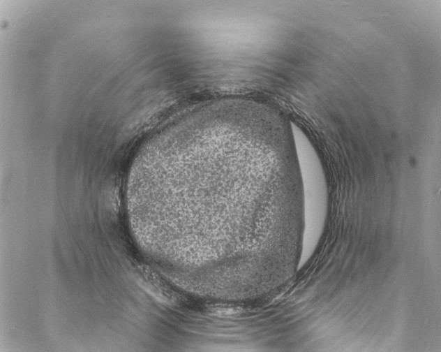 X0000088030746200706011349