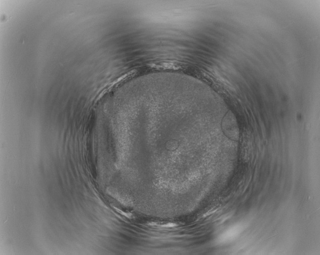 X0000088030747200706011349