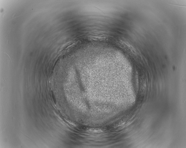 X0000088030749200706011349