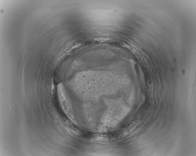 X0000088030750200706011349