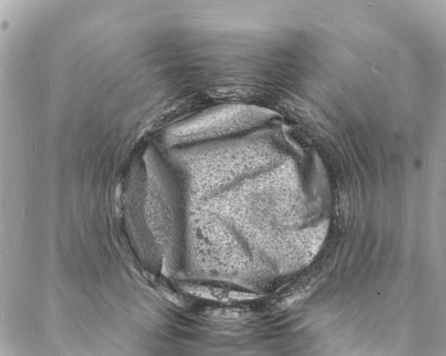 X0000088030751200706011349