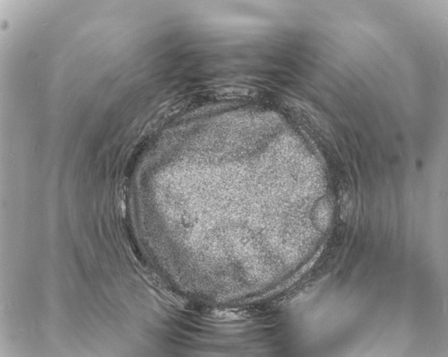 X0000088030753200706011349