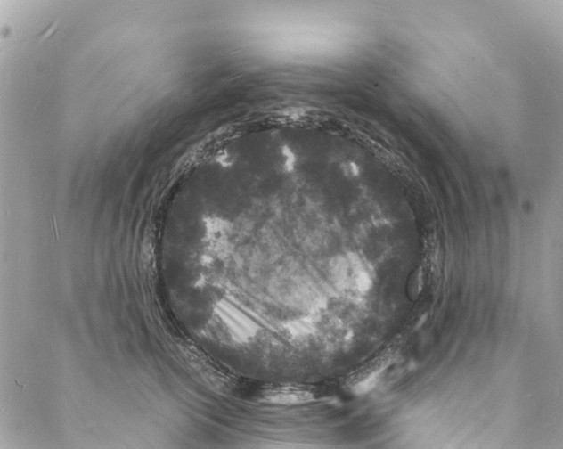 X0000088030754200706011349