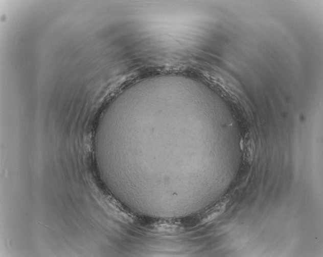 X0000088030756200706011349