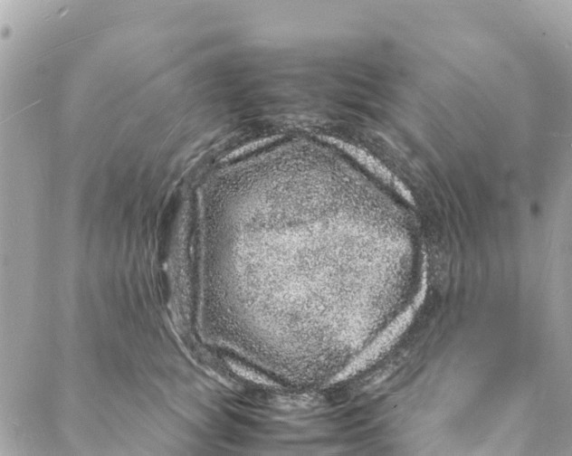 X0000088030757200706011349