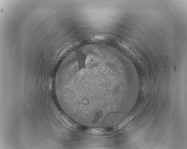 X0000088030758200706011349