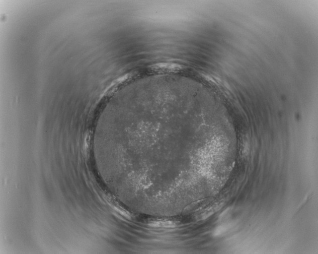 X0000088030759200706011349