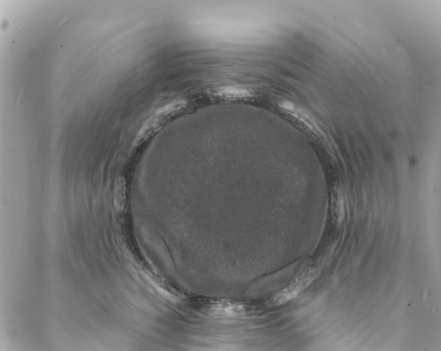 X0000088030760200706011349