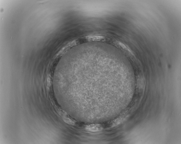 X0000088030761200706011349