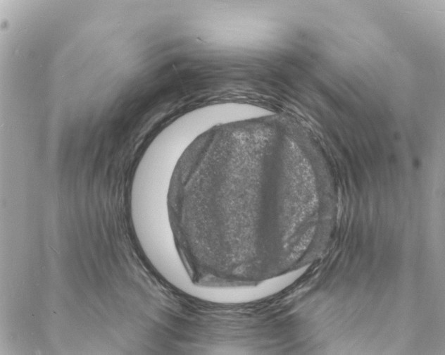 X0000088030762200706011349