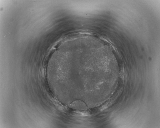 X0000088030763200706011349