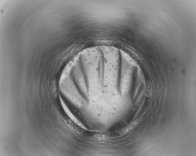 X0000088030764200706011349