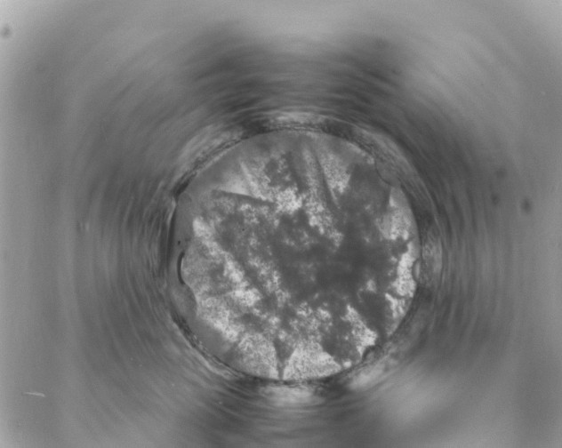 X0000088030765200706011349