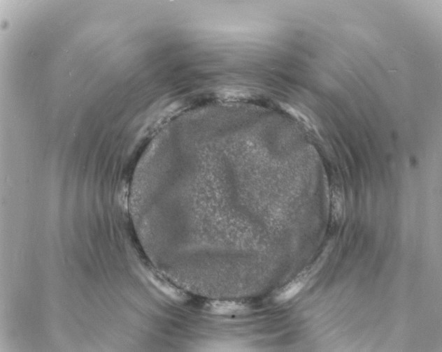 X0000088030766200706011349