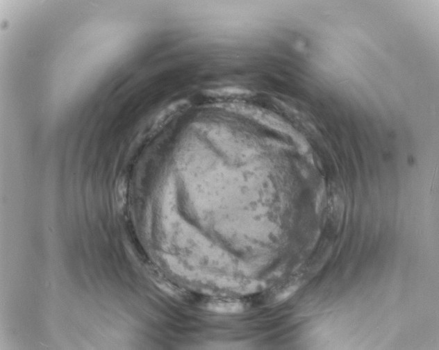 X0000088030767200706011349