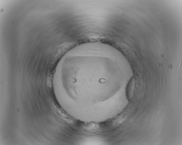 X0000088030768200706011349