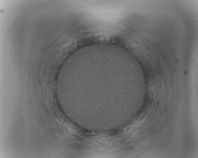 X0000088030769200706011349