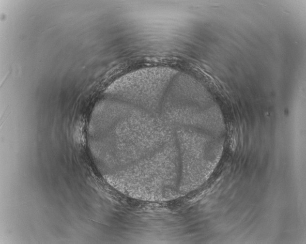 X0000088030770200706011349