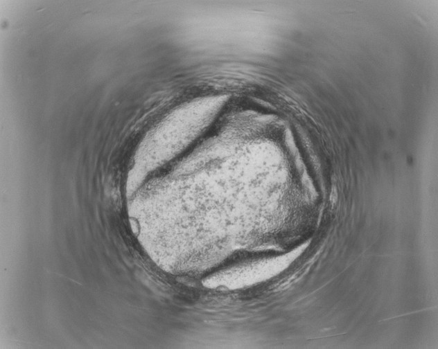 X0000088030771200706011349