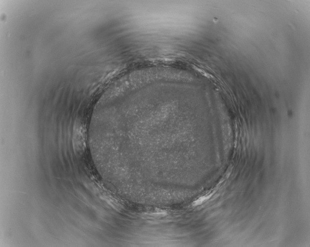 X0000088030772200706011349