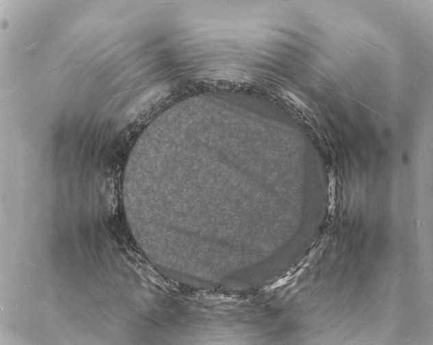 X0000088030774200706011348