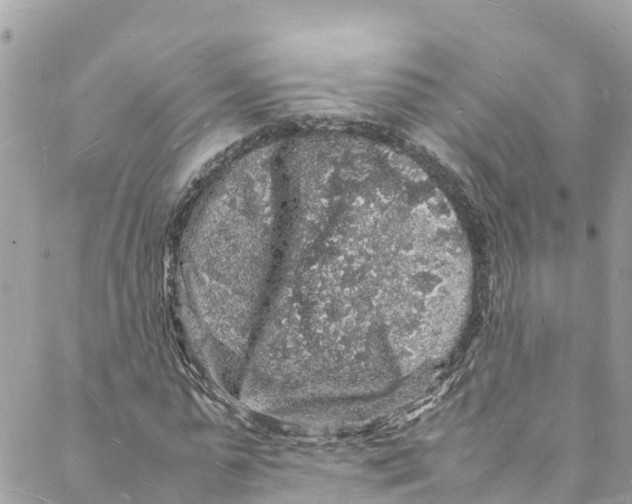 X0000088030775200706011348