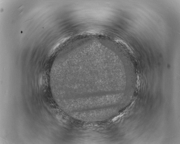 X0000088030776200706011348