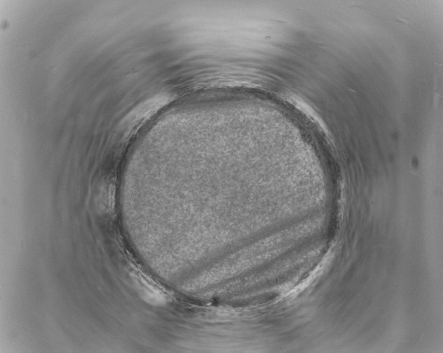 X0000088030777200706011348