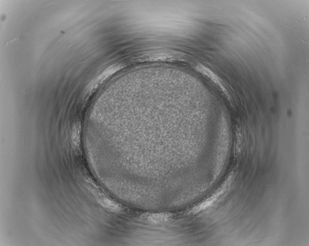 X0000088030778200706011348