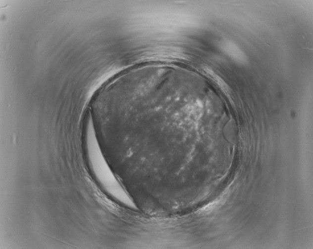 X0000088030779200706011348