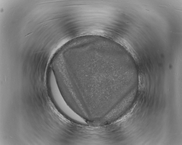 X0000088030780200706011348