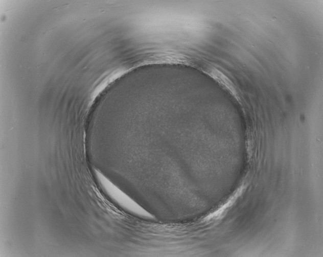 X0000088030781200706011348