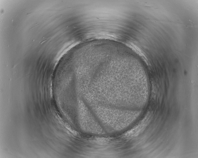 X0000088030782200706011348