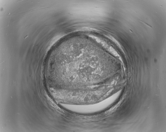 X0000088030783200706011348