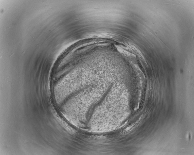 X0000088030784200706011348