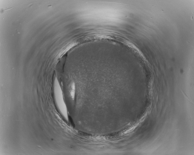 X0000088030785200706011348