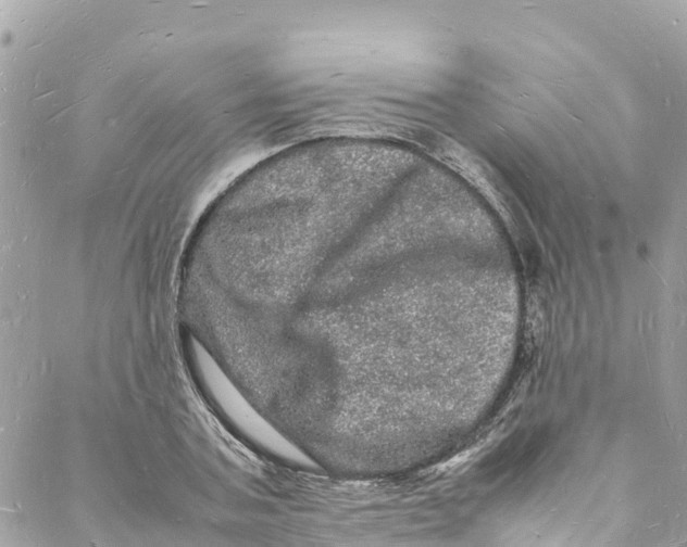 X0000088030787200706011348