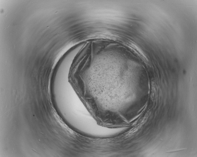 X0000088030788200706011348