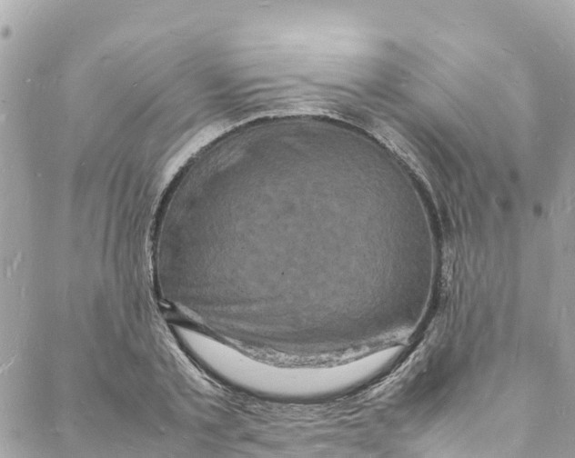 X0000088030789200706011348