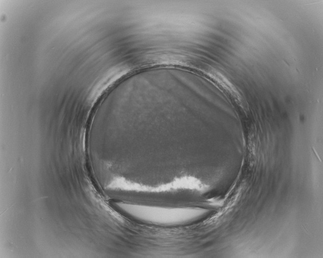 X0000088030790200706011348