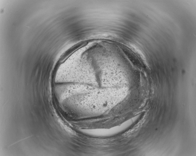 X0000088030792200706011348