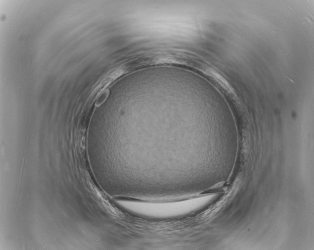 X0000088030793200706011348