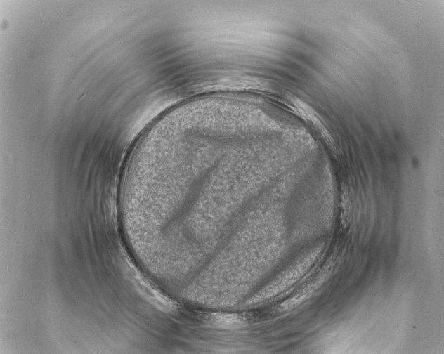 X0000088030794200706011348